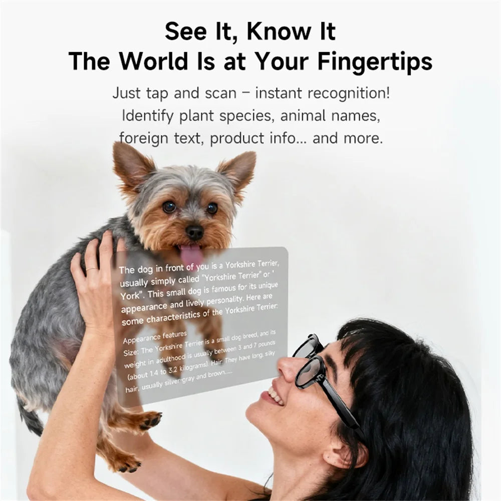 Lunettes intelligentes IA, traduction en temps réel, double caméra, appels Bluetooth, lecteur audio et vidéo, lecteur de musique, multifonctions pour hommes