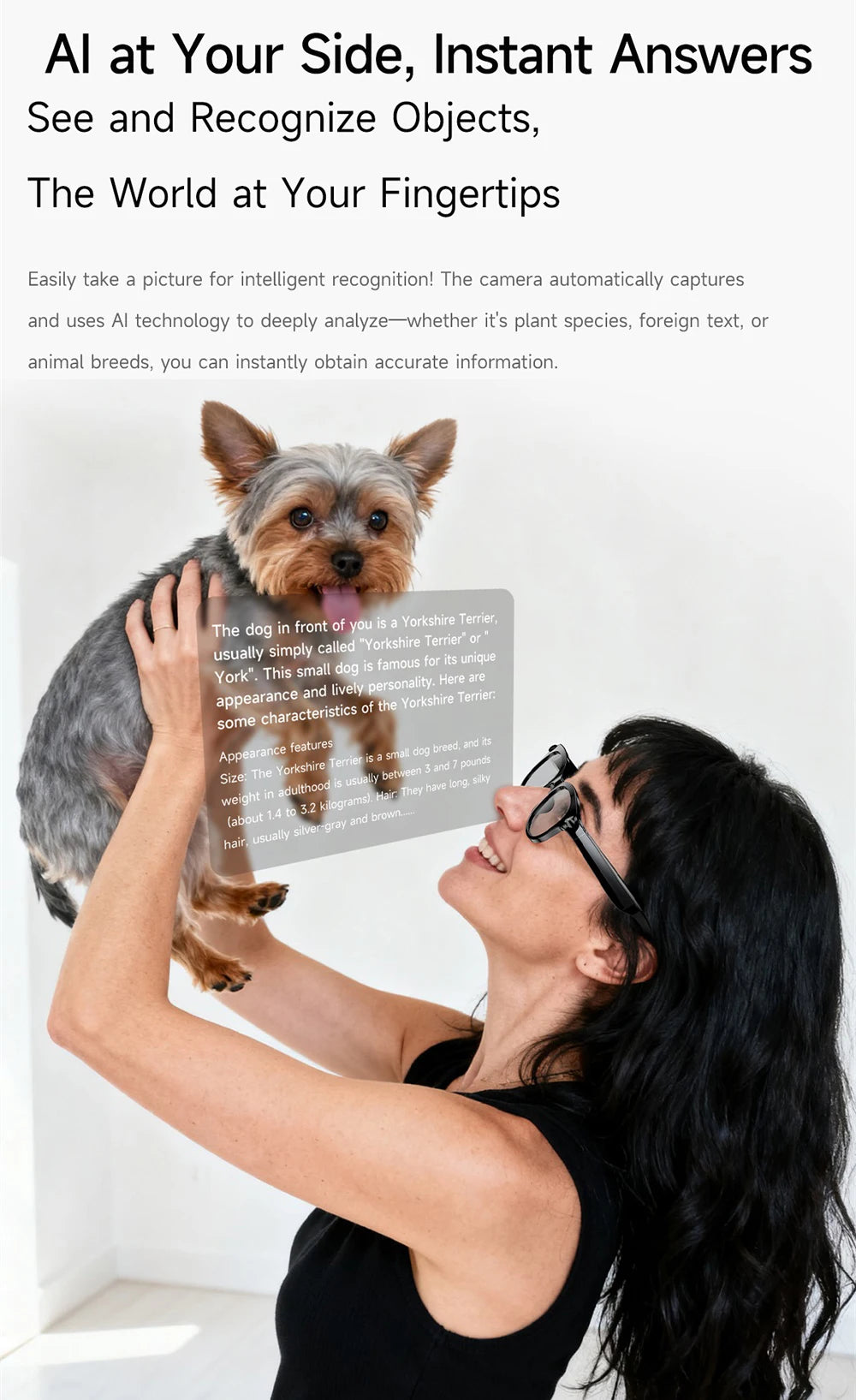 Lunettes intelligentes IA, traduction en temps réel, double caméra, appels Bluetooth, lecteur audio et vidéo, lecteur de musique, multifonctions pour hommes